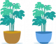2-pot 2-pot